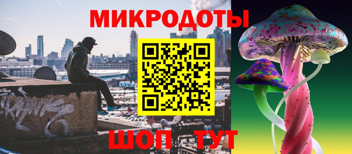 Гусиноозёрск  Галлюциногенные грибы Psilocybe  Вход с VPN 